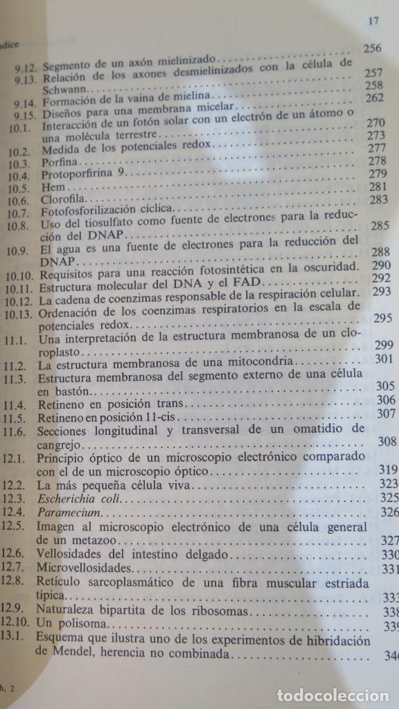Libros de segunda mano: BIOLOG&Iacute;A MOLECULAR. ENFOQUE ESTRUCTURAL. SMITH - Foto 5