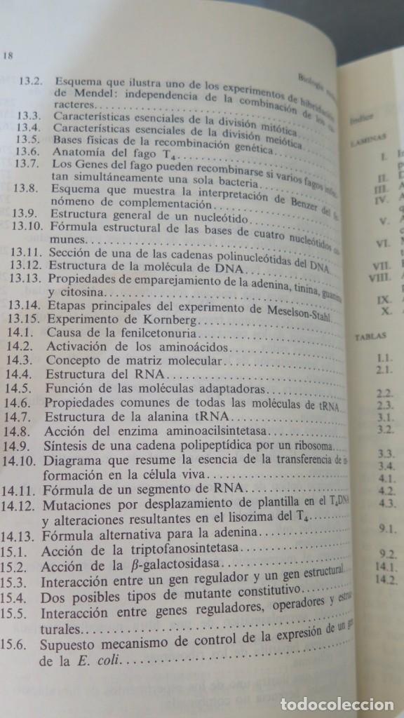Libros de segunda mano: BIOLOG&Iacute;A MOLECULAR. ENFOQUE ESTRUCTURAL. SMITH - Foto 6