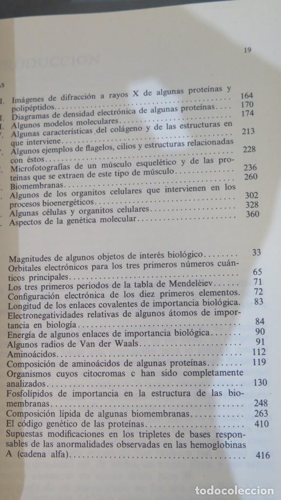 Libros de segunda mano: BIOLOG&Iacute;A MOLECULAR. ENFOQUE ESTRUCTURAL. SMITH - Foto 7
