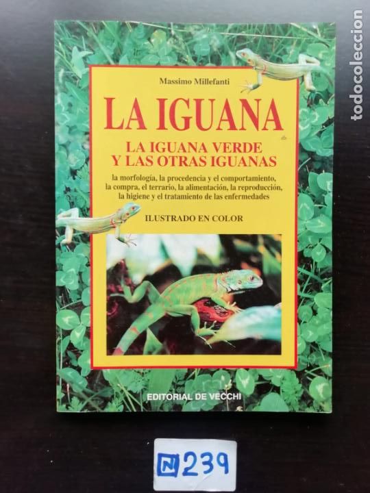 Libros de segunda mano: La Iguana - Foto 1