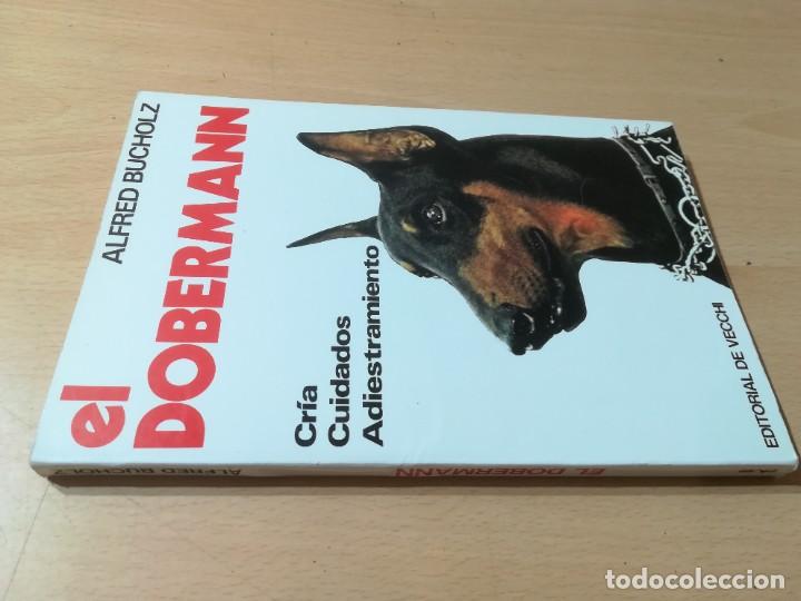 Libros de segunda mano: EL DOBERMANN / ALFRED BUCHOLZ / DE VECCHI / AE202 - Foto 1