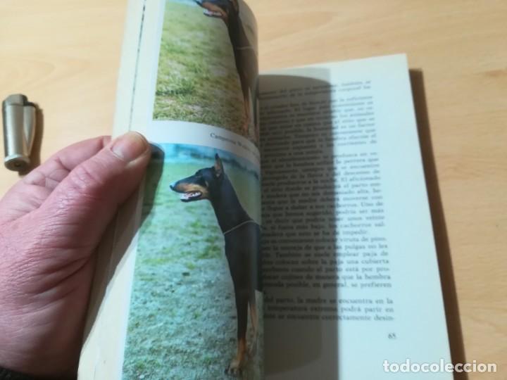 Libros de segunda mano: EL DOBERMANN / ALFRED BUCHOLZ / DE VECCHI / AE202 - Foto 8