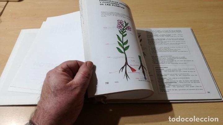 Libros de segunda mano: CIENCIAS NATURALES ELEMENTALES / M MONTON / JOVER / ZESQ504 - Foto 11