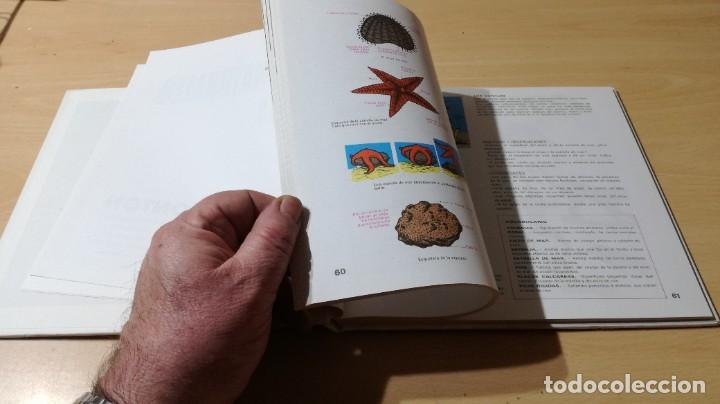 Libros de segunda mano: CIENCIAS NATURALES ELEMENTALES / M MONTON / JOVER / ZESQ504 - Foto 12