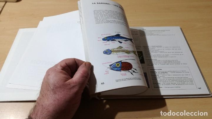 Libros de segunda mano: CIENCIAS NATURALES ELEMENTALES / M MONTON / JOVER / ZESQ504 - Foto 13