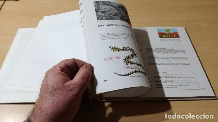 Libros de segunda mano: CIENCIAS NATURALES ELEMENTALES / M MONTON / JOVER / ZESQ504 - Foto 14