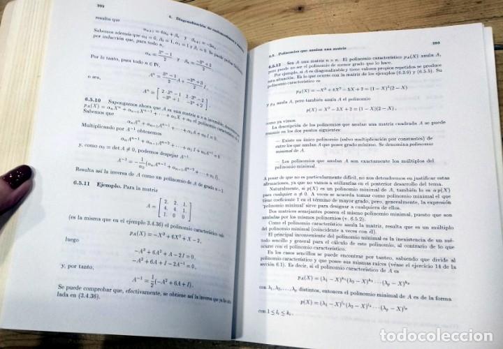 Libros de segunda mano de ciencias: &Aacute;lgebra lineal. Jes&uacute;s Rojo - Foto 3