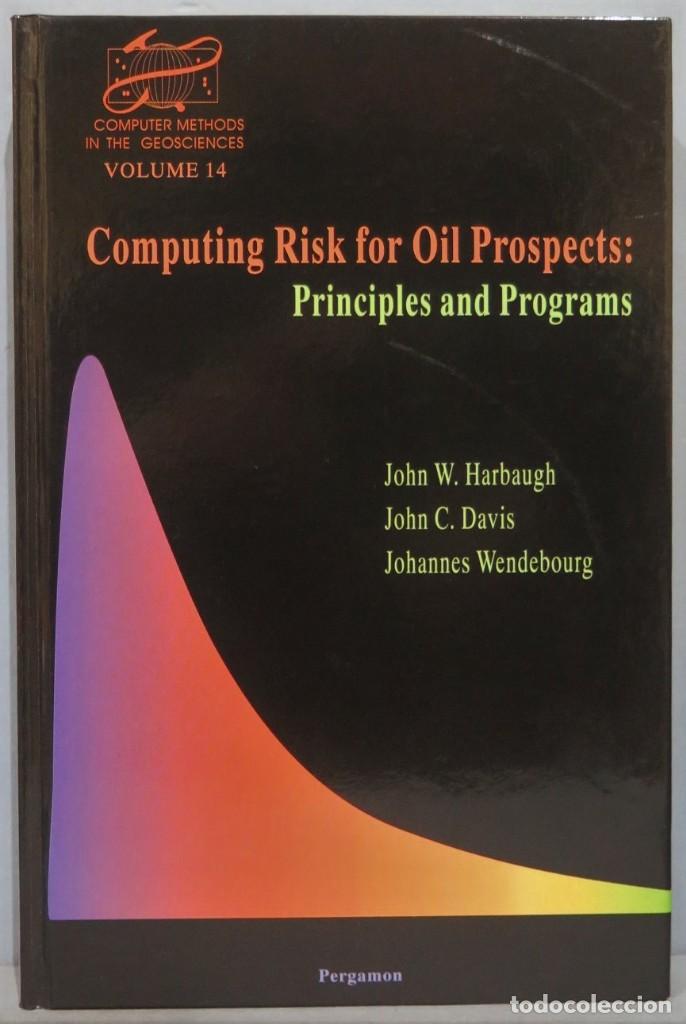 Libros de segunda mano: COMPUTING RISK FOR OIL PROSPECTS. PRINCIPLES AND PROGRAMS. HARBAUGH - Foto 1