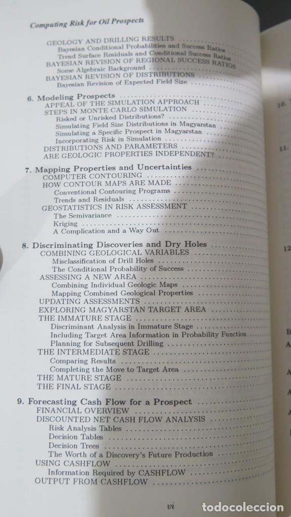 Libros de segunda mano: COMPUTING RISK FOR OIL PROSPECTS. PRINCIPLES AND PROGRAMS. HARBAUGH - Foto 3