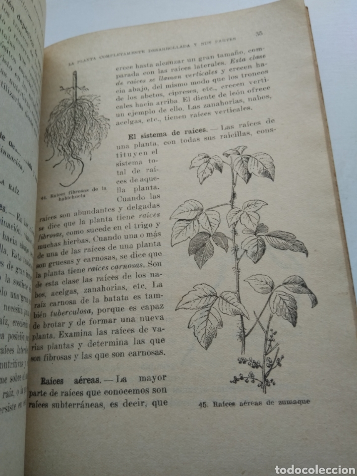 Libros de segunda mano: VIDA DE ANIMALES Y PLANTAS/VV.AA. - Foto 3