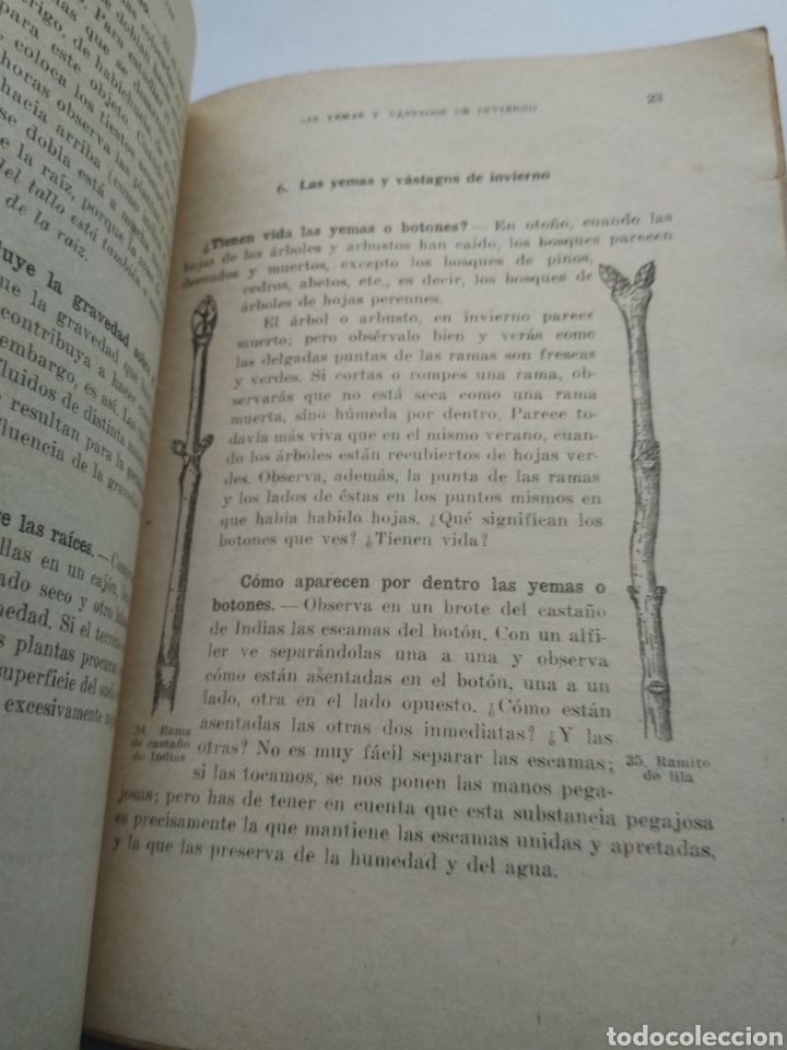 Libros de segunda mano: VIDA DE ANIMALES Y PLANTAS/VV.AA. - Foto 4