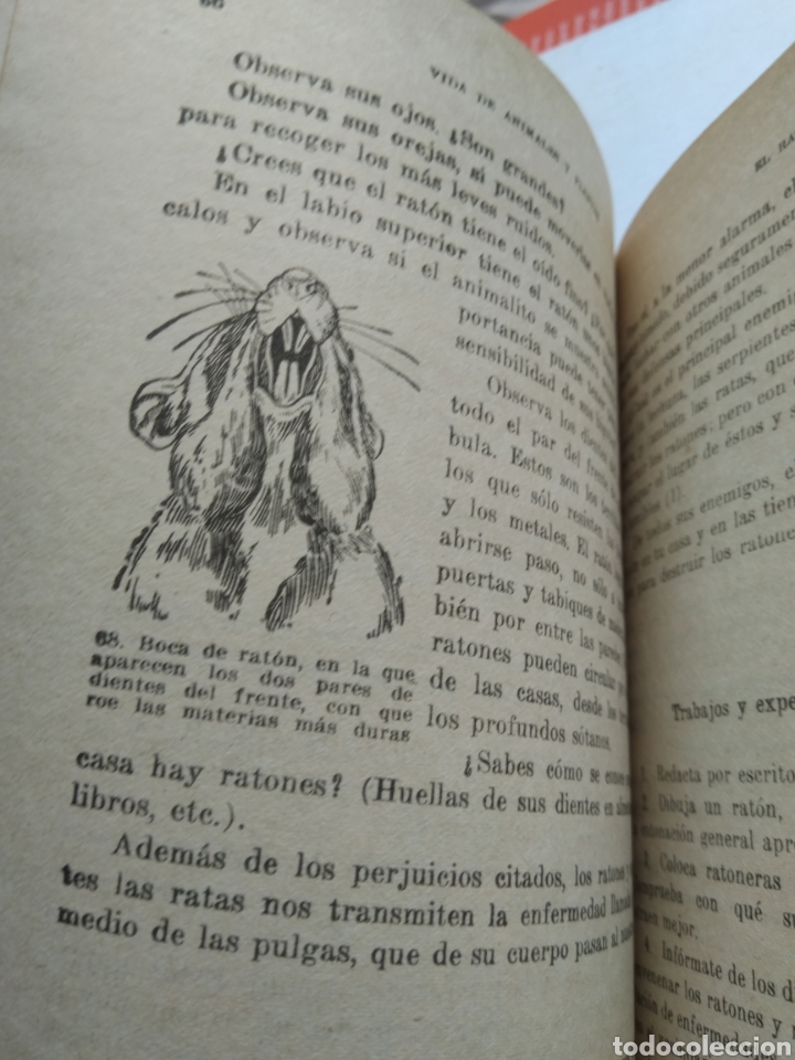 Libros de segunda mano: VIDA DE ANIMALES Y PLANTAS/VV.AA. - Foto 5