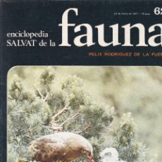 Libros de segunda mano: FASCICULO Nº 62 DE FAUNA DE FELIX RODRIGUEZ DE LA FUENTE EDITADO POR SALVAT EN 1971