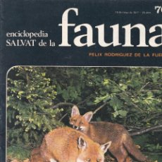 Libros de segunda mano: FASCICULO Nº 70 DE FAUNA DE FELIX RODRIGUEZ DE LA FUENTE EDITADO POR SALVAT EN 1971