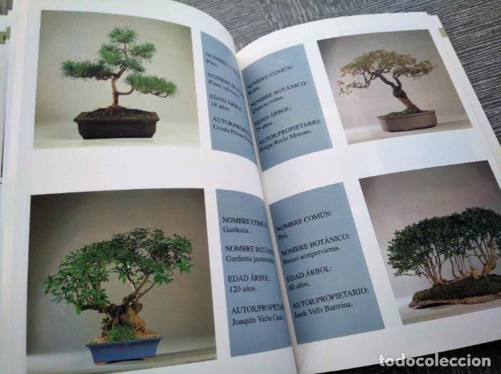 Libros de segunda mano: BONSAI AUT&Oacute;CTONO ESPA&Ntilde;OL - IBERFLORA - Foto 5