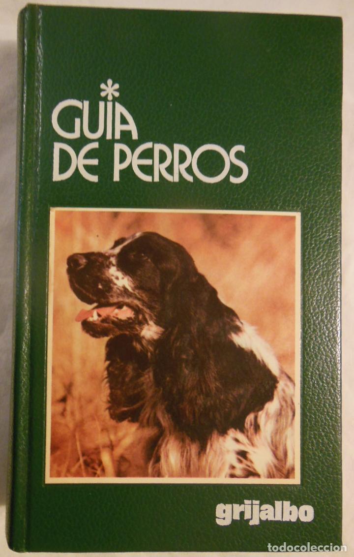 Livros em segunda m&atilde;o: GUIA DE PERROS. 1984 GINO PUGNETTI