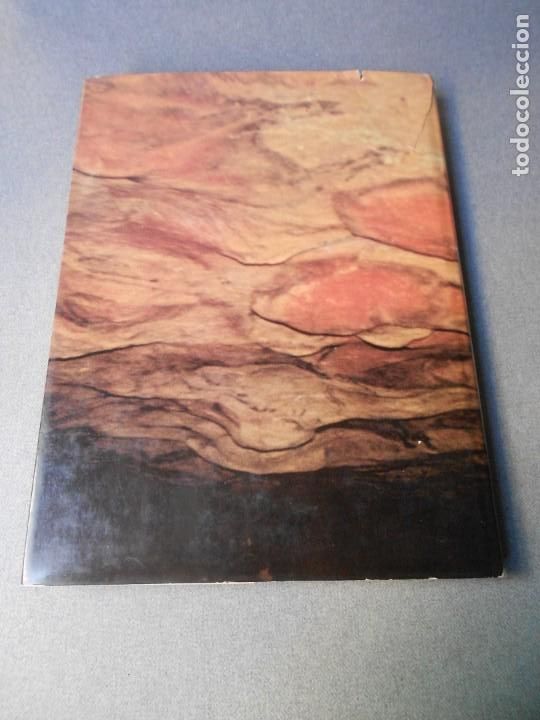 Libros de segunda mano: VOICES FROM THE STONE AGE - Foto 23