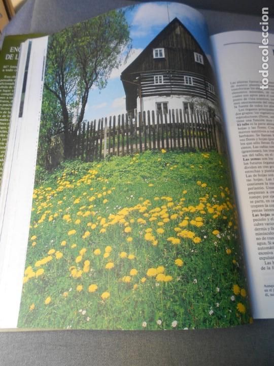 Libros de segunda mano: ENCICLOPEDIA DE LA JARDINERIA - Foto 9