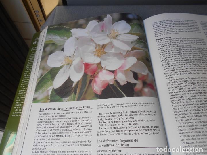 Libros de segunda mano: ENCICLOPEDIA DE LA JARDINERIA - Foto 12