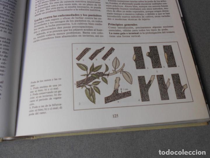 Libros de segunda mano: ENCICLOPEDIA DE LA JARDINERIA - Foto 13