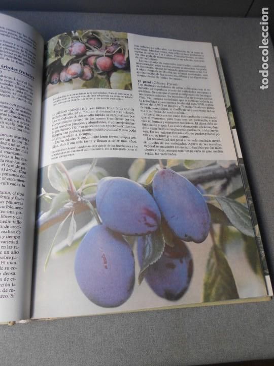 Libros de segunda mano: ENCICLOPEDIA DE LA JARDINERIA - Foto 14