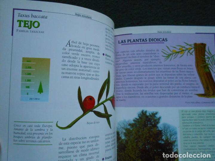 Libros de segunda mano: Que &aacute;rbol es ? Susaeta - Foto 2
