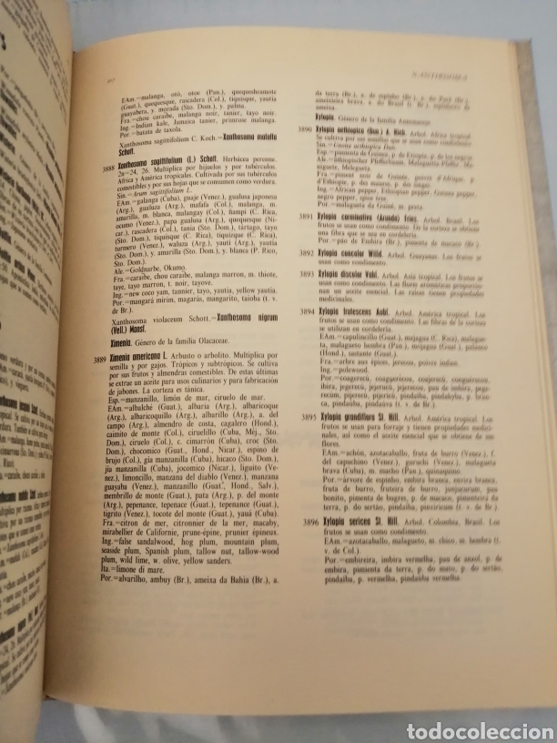 Libros de segunda mano: DICCIONARIO DE PLANTAS AGR&Iacute;COLAS (Primera edici&oacute;n) - Foto 2