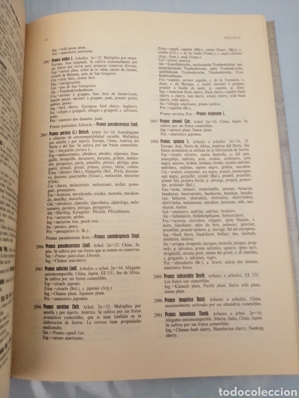 Libros de segunda mano: DICCIONARIO DE PLANTAS AGR&Iacute;COLAS (Primera edici&oacute;n) - Foto 3
