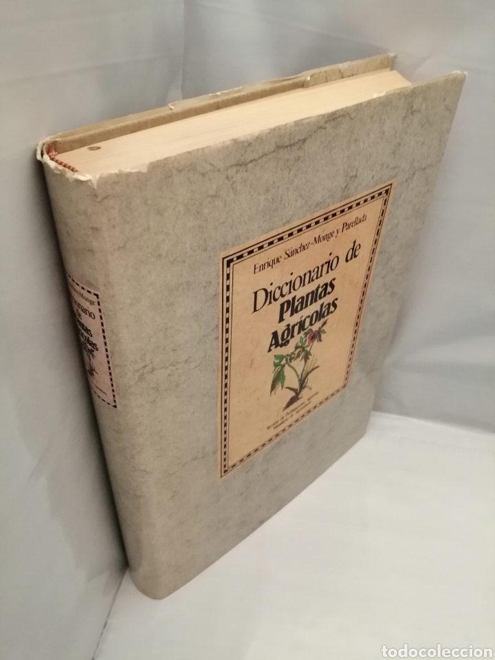 Libros de segunda mano: DICCIONARIO DE PLANTAS AGR&Iacute;COLAS (Primera edici&oacute;n) - Foto 5