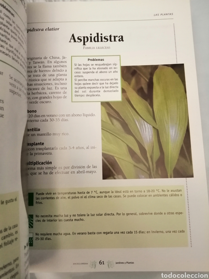 Libros de segunda mano: Gran Enciclopedia de Jardines y Plantas - Foto 4