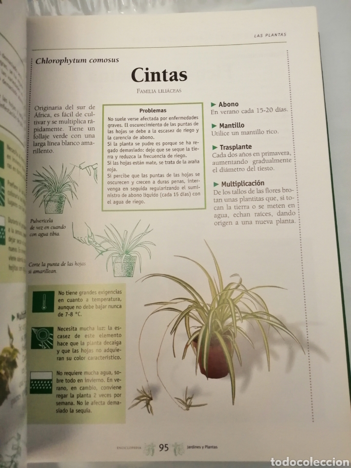 Libros de segunda mano: Gran Enciclopedia de Jardines y Plantas - Foto 5