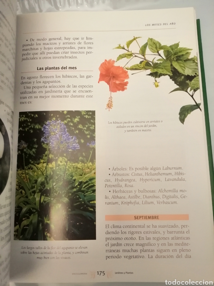 Libros de segunda mano: Gran Enciclopedia de Jardines y Plantas - Foto 7