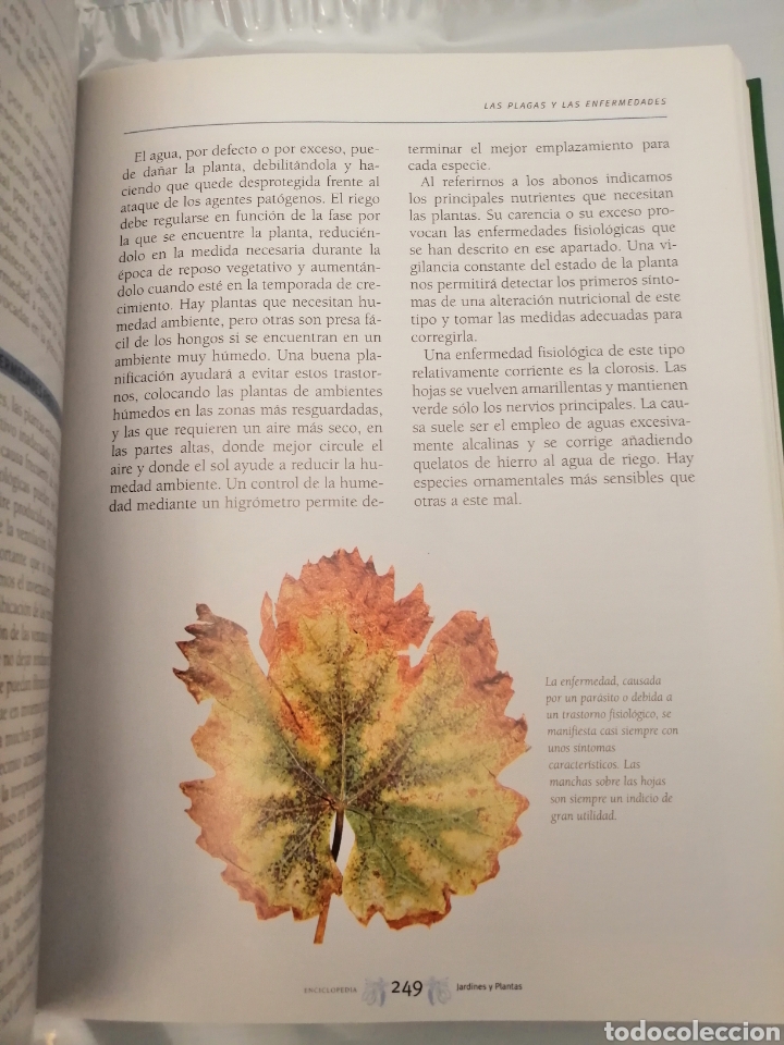 Libros de segunda mano: Gran Enciclopedia de Jardines y Plantas - Foto 9