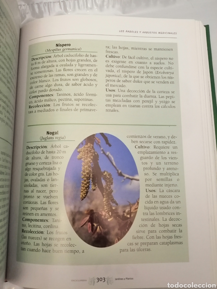 Libros de segunda mano: Gran Enciclopedia de Jardines y Plantas - Foto 10