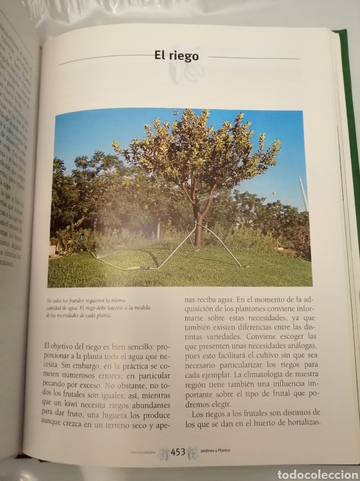 Libros de segunda mano: Gran Enciclopedia de Jardines y Plantas - Foto 11