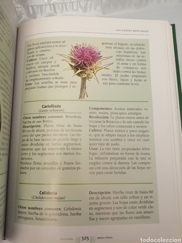 Libros de segunda mano: Gran Enciclopedia de Jardines y Plantas - Foto 13