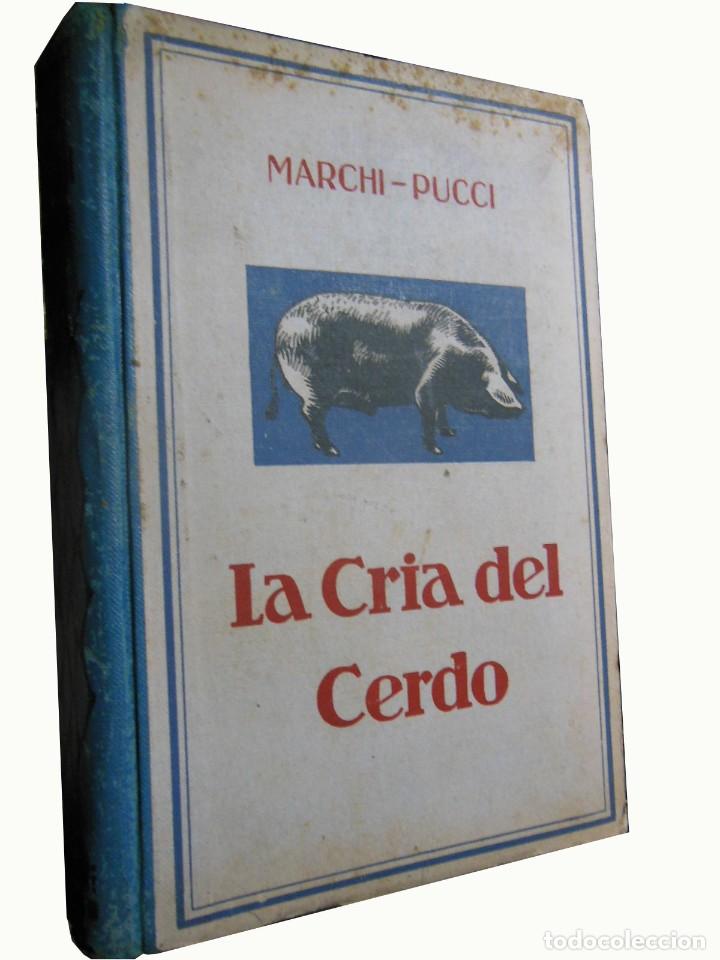 Libros de segunda mano: LA CRIA DEL CERDO. 1942 E. Marchi y C. Pucci - Foto 1