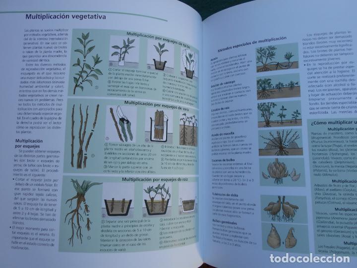 Libros de segunda mano: Gran enciclopedia del Jard&iacute;n Todolibro - Foto 2