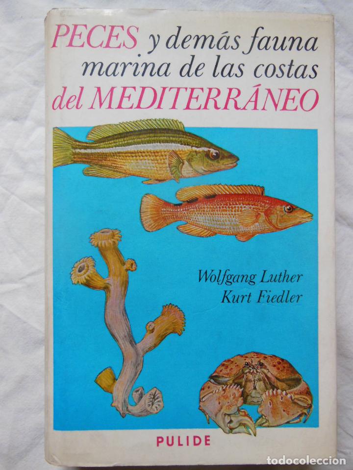Libros de segunda mano: PECES Y DEMAS FAUNA MARINA DE LAS COSTAS DEL MEDITERRANEO. 1968 WOLFANG LUTHER Y KURT FIEDLER