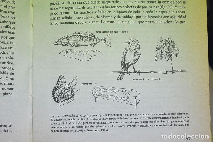 Libros de segunda mano: Biolog&iacute;a del conocimiento. Los fundamentos de la raz&oacute;n. Rupert Riedl - Foto 4