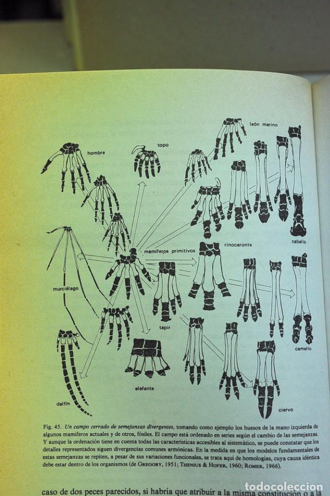 Libros de segunda mano: Biolog&iacute;a del conocimiento. Los fundamentos de la raz&oacute;n. Rupert Riedl - Foto 5