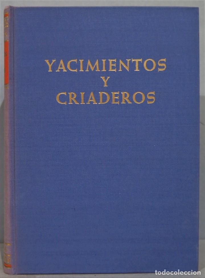 Libros de segunda mano: YACIMIENTOS Y CRIADEROS. PETRASCHECK - Foto 1