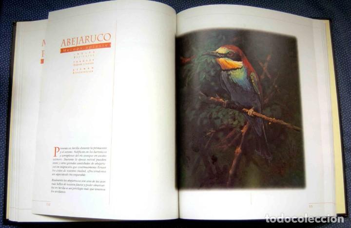 Libros de segunda mano: SEVILLA Y SUS AVES - CARLOS LLANDRES - EDITORIAL ZIG-ZAG - Foto 2