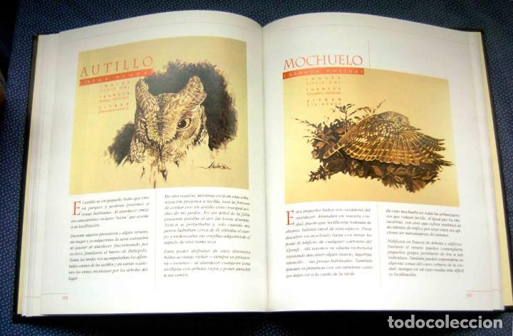 Libros de segunda mano: SEVILLA Y SUS AVES - CARLOS LLANDRES - EDITORIAL ZIG-ZAG - Foto 3