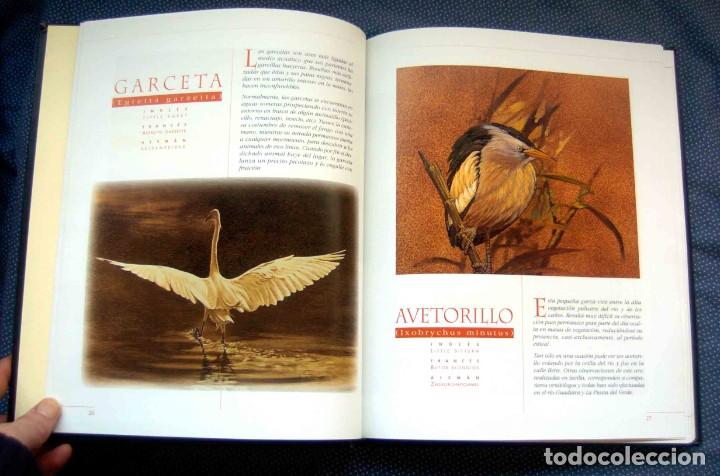 Libros de segunda mano: SEVILLA Y SUS AVES - CARLOS LLANDRES - EDITORIAL ZIG-ZAG - Foto 4