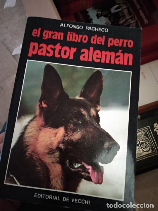 Libros de segunda mano: EL GRAN LIBRO DEL PERRO PASTOR ALEMAN / ALFONSO PACHECO / EDITORIAL DE VECCHI, 1992 - Foto 1