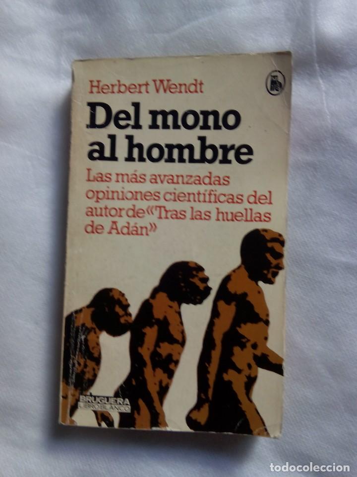 Libros de segunda mano: DEL MONO AL HOMBRE / HERBERT WENDT - Foto 1