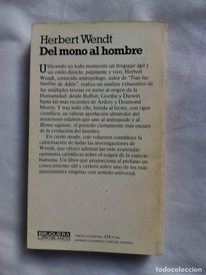 Libros de segunda mano: DEL MONO AL HOMBRE / HERBERT WENDT - Foto 2