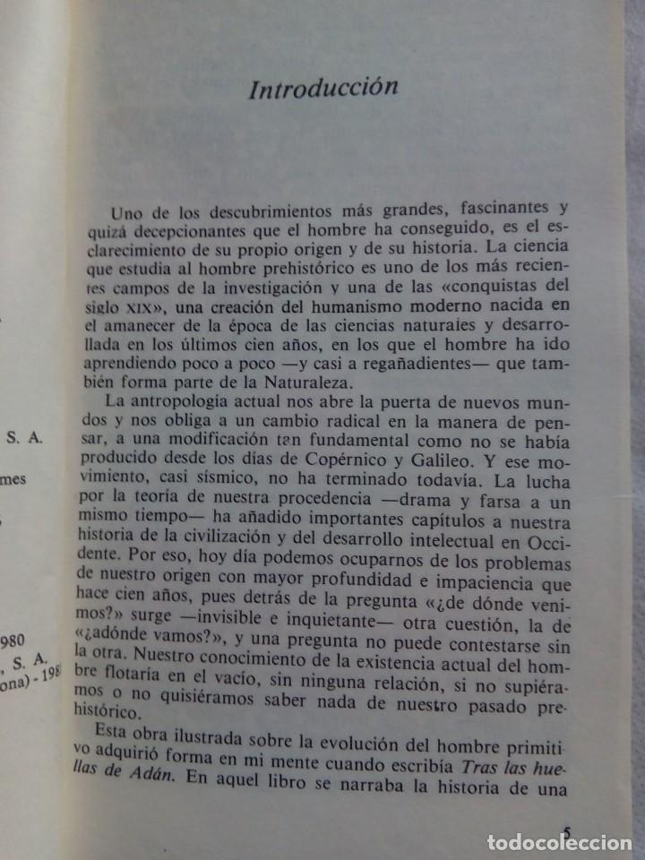 Libros de segunda mano: DEL MONO AL HOMBRE / HERBERT WENDT - Foto 7