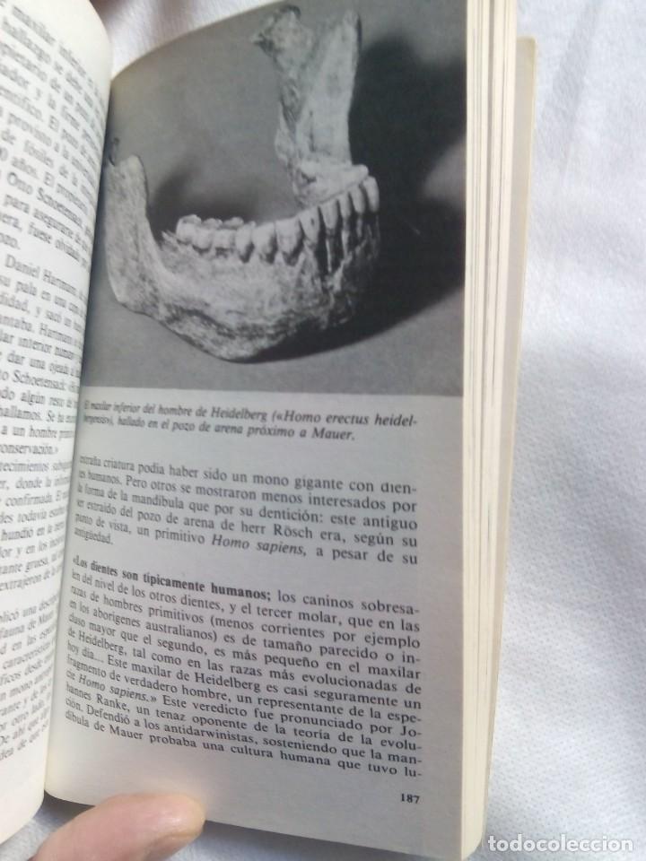 Libros de segunda mano: DEL MONO AL HOMBRE / HERBERT WENDT - Foto 8
